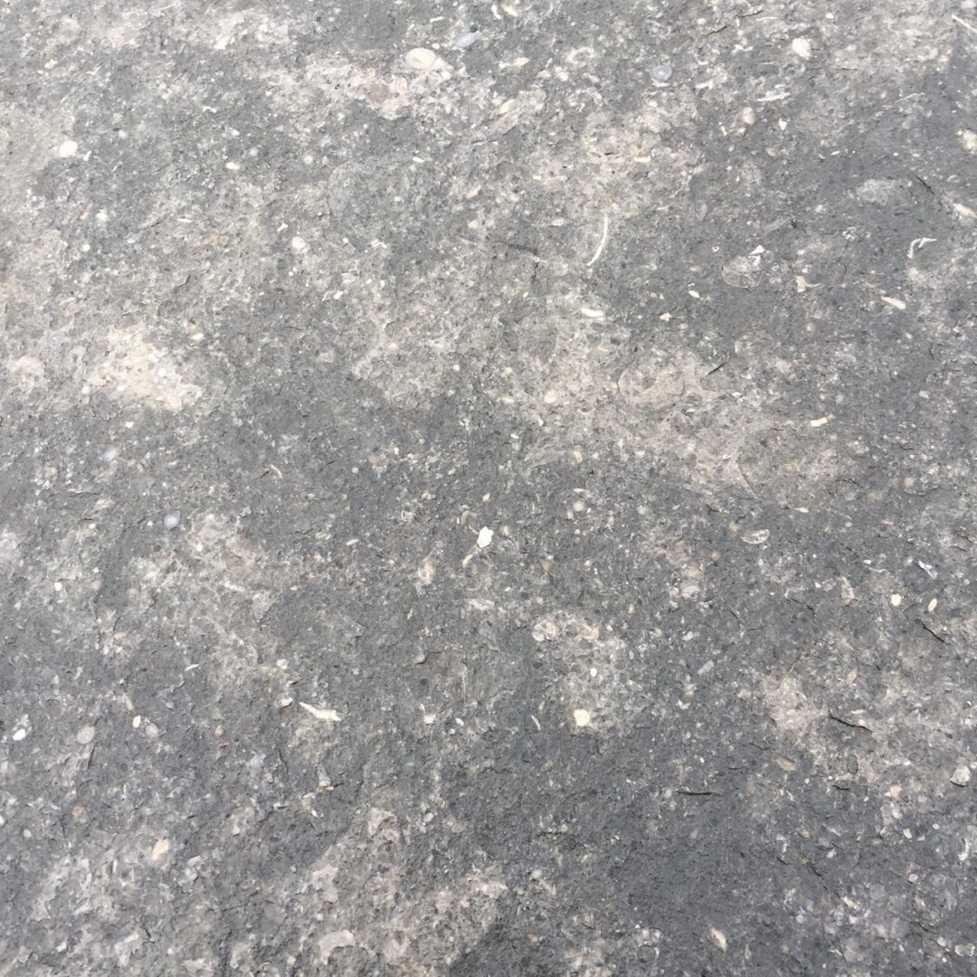 Close-up of a textured gray stone surface with natural patterns.